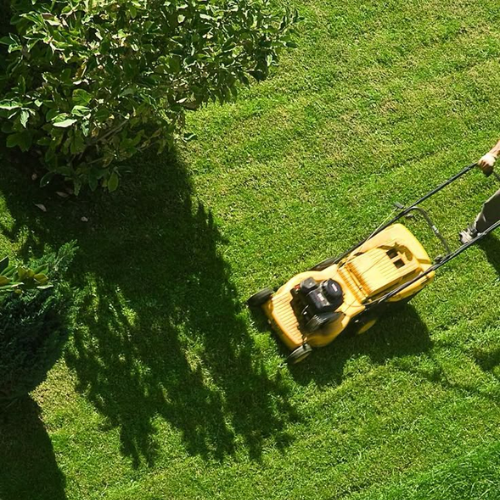 Welke grasmaaier past bij jouw tuin?